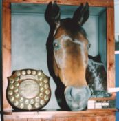 Racehorse by Dave Hollingworth 1998