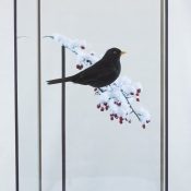 Blackbird by Jack Fishwick 2016