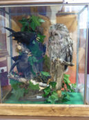 Tawny Owl by Stewart Barber 2009