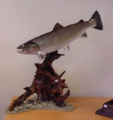 Sea Trout by Phil Leggett 2002