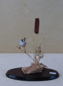 Reedling by Stewart Barber 2013