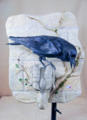 Raven by Colin Scott 2013