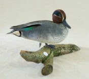 Teal by Dave Irwin 2012