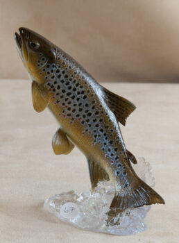 Brown Trout by Peter Scott 2010