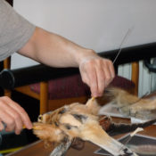 Jack Fishwick Lecture 2009