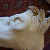 Maurice Bouten Lecture 2011