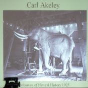 Pat Morris Lecture 2011