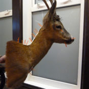 Maurice Bouten Lecture 2011