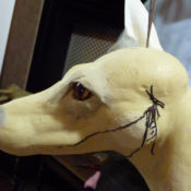 Alexander Sokolov Lecture 2010