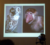 Pat Morris Lecture 2010