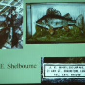 Pat Morris Lecture 2010