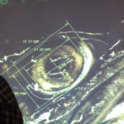 Matthias Fahrni Lecture 2012