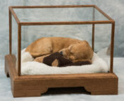 Cocker Puppy by Martin Bourne 2019