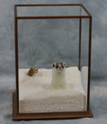 Ermine & Mouse by Colin Scott 2015