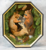 Red Squirrel by Peter Scott 2015