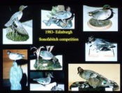 Pat Morris Lecture 2016