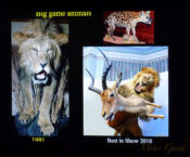 Pat Morris Lecture 2016