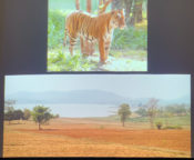 Pat Morris Lecture 2019