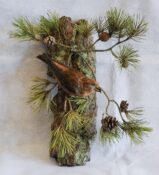 Crossbill by Colin Scott 2020