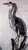 Heron by Steve Massam 1989