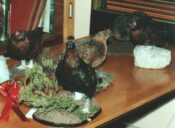 Red Grouse 1990