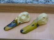 Peter Scott Lecture Seminar 2010